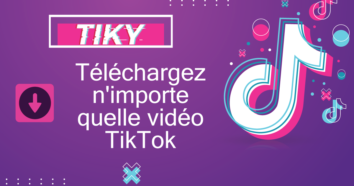 TikTok Downloader  Sauvegarder les vidéos TikTok sans filigrane